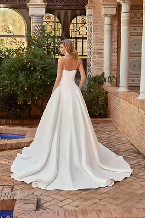 DDM 6465 back