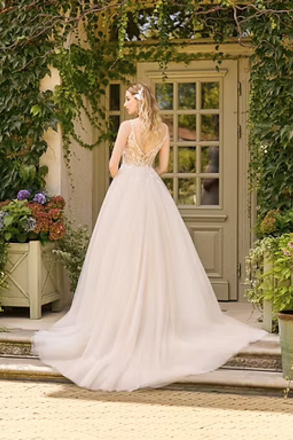 Ab 1161 back