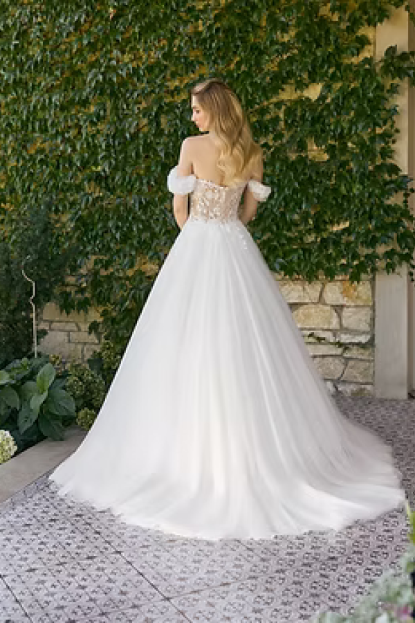 AB 1146 back