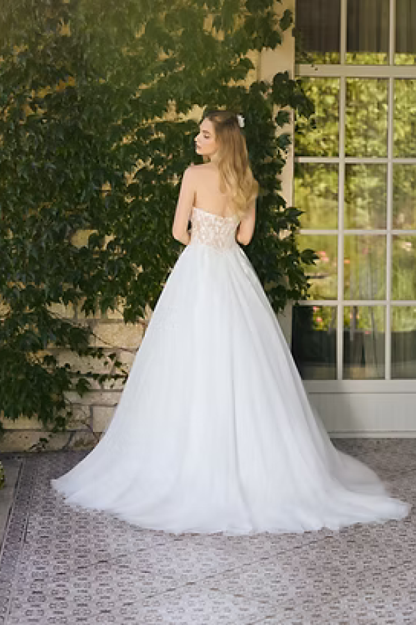 AB 1141 back