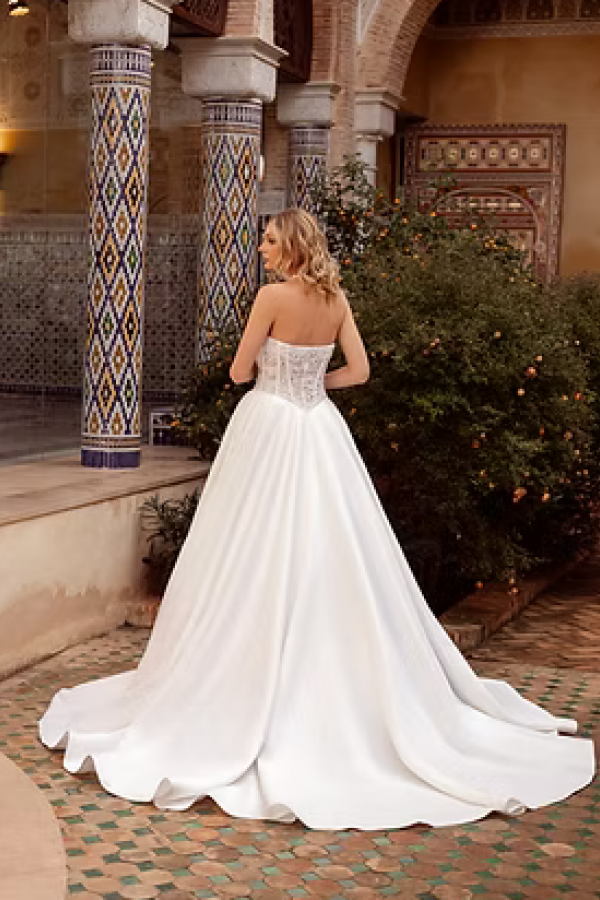 DDM 6468 back
