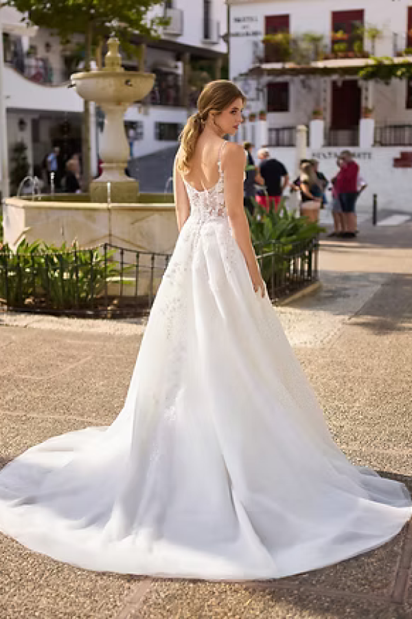 TC 26223 back