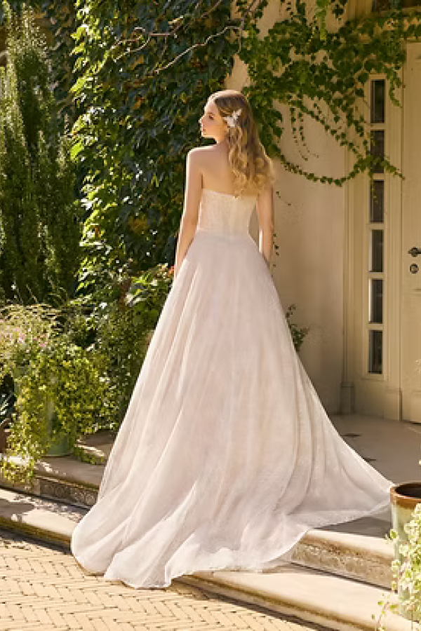 AB 1149 back
